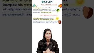 Evs first chapter പഠിച്ചാലോ !! | Xylem Class 4