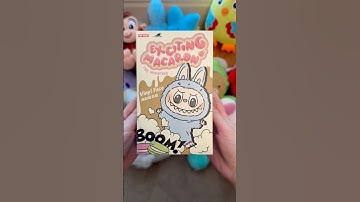 Labubu Macaron Unboxing! (Secret Labubu!) #shorts