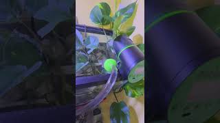Aquarium Updates August 2026