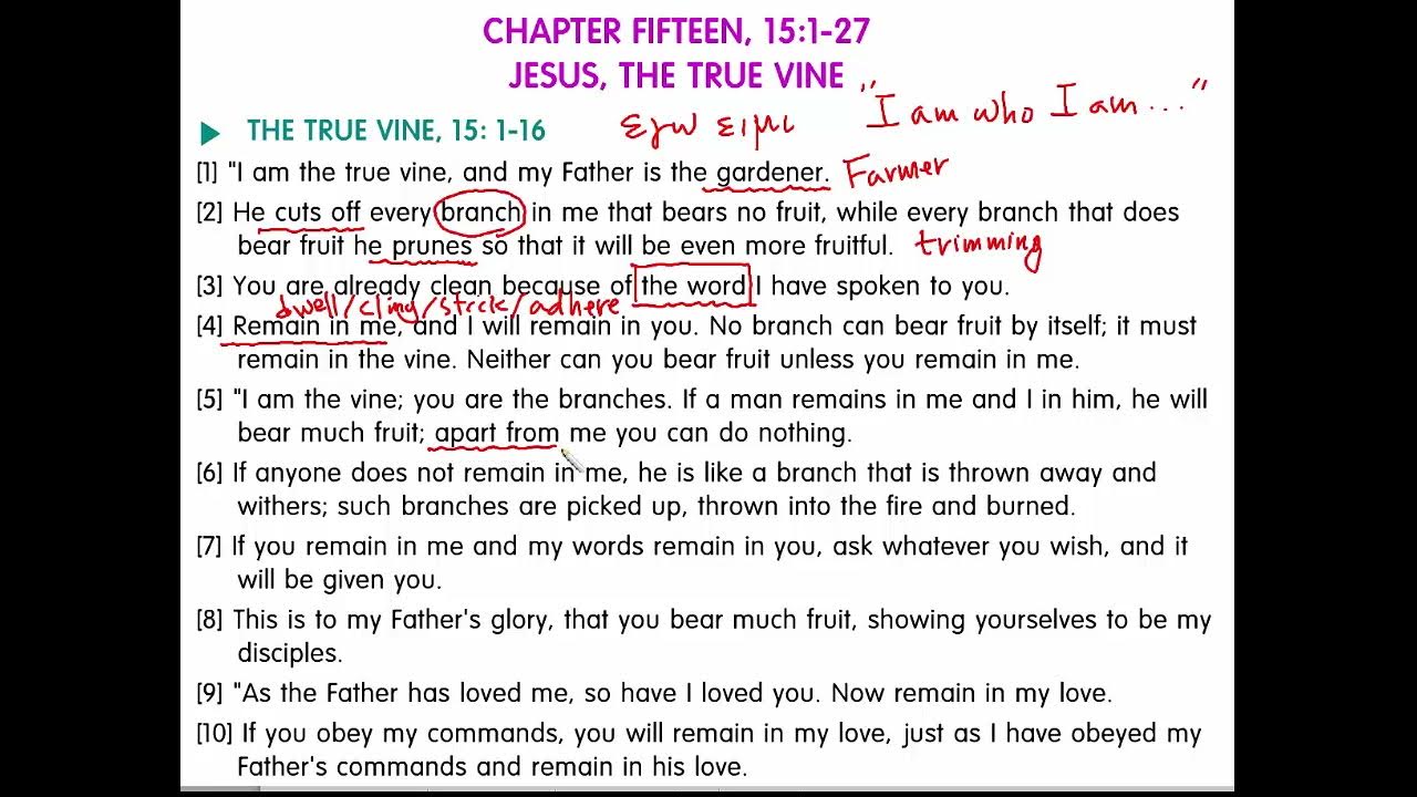 ENGLISH BIBLE EXEGESIS John 15 1 YouTube english-bible-exegesis-john-15-1-youtube