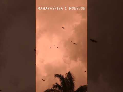 Much awaited Monsoon is here #monsoon #monsoon2026 #maharashtra