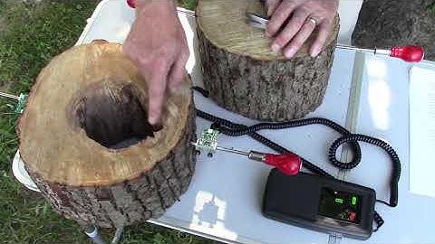 Tree Check- Sonic Wave Tree Decay Detector
