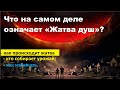 Что на самом деле означает "Жатва душ"?