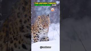 Just Wait To See The End