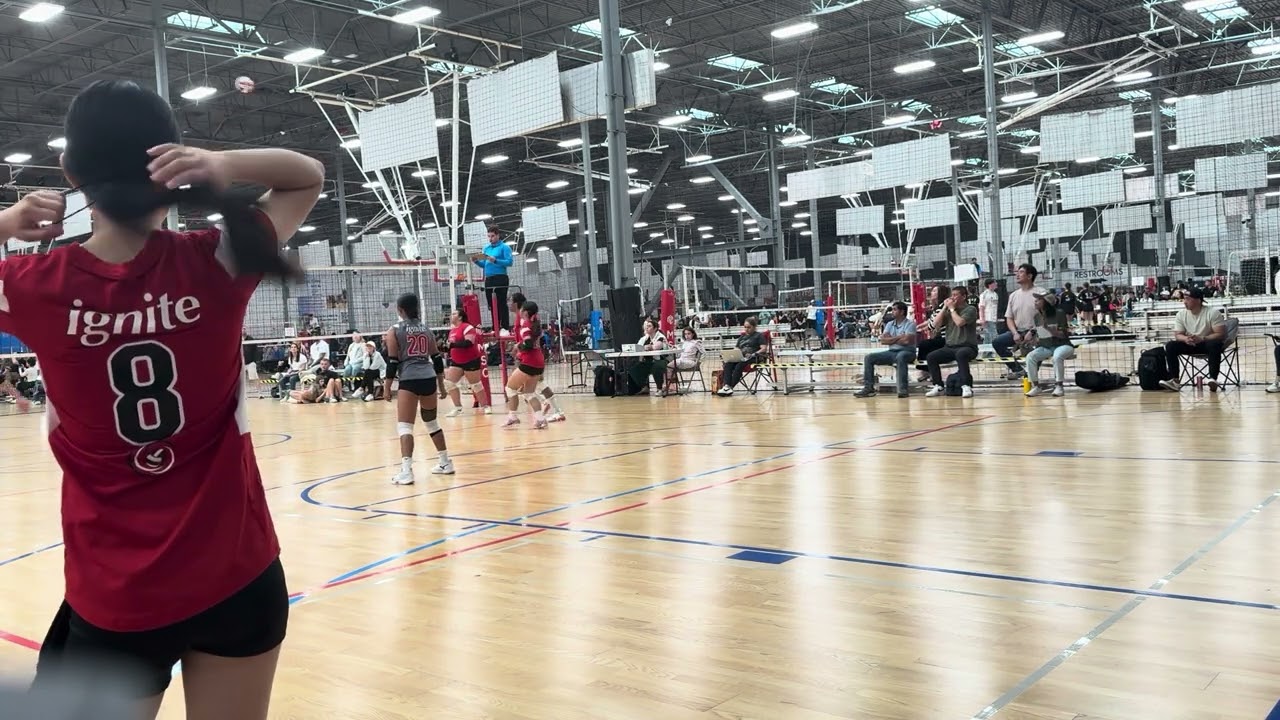 ignite 13 select vs prime 13 white