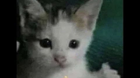 ULTRAKILL 5-1 any% Secret Exit Speedrun 12.729 (PB)