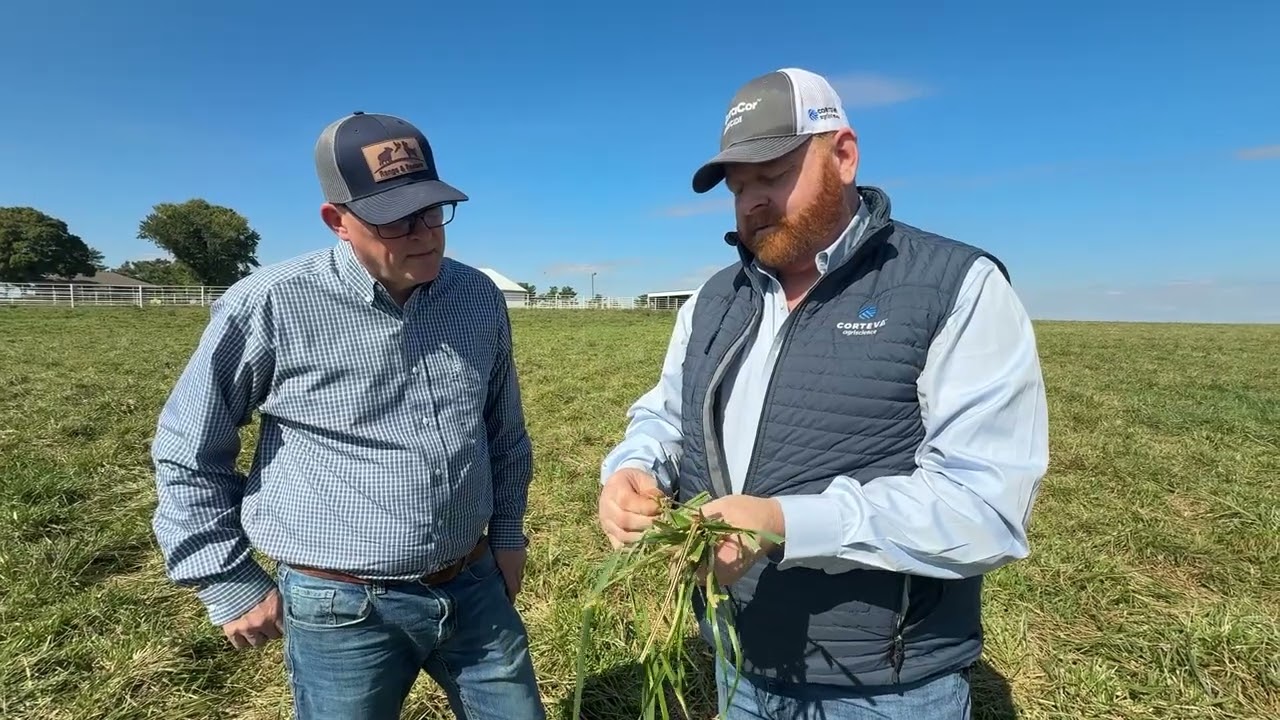 Soil Fertility and Pasture Weed Control
