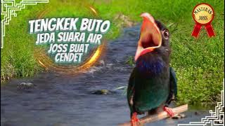 Tengkek Buto Jeda Suara Air - Masteran Cendet