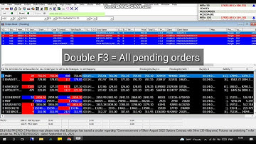 How to understand ODIN and use its key features.(In English)|Trading Software