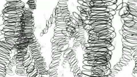 Experimental Film - Rotoscope - Identity