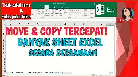 Cara Copy Banyak Sheet Excel Secara Bersamaan