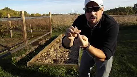 Quand planter ail d'hiver ? Quand planter ail d'hiver ?