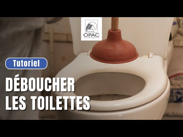 Comment déboucher un WC ? Leroy Merlin 