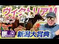 【2026 ヴィクトリアM】【2026 新潟大賞典】出走馬ジャッジ