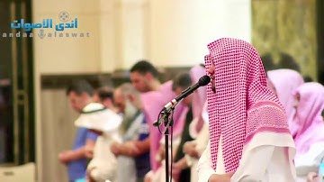 تلاوة هادئه شجية كلها جمال تُريح القلوب