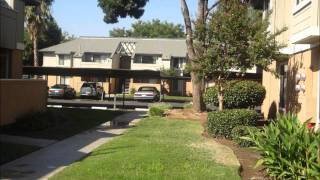 Pinewood Place Apartments (New Look)
