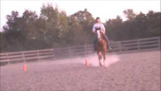 Jumping/Riding bareback/bridless 