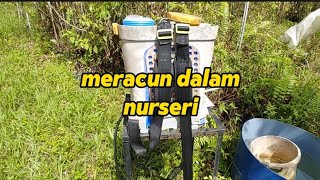 boleh ke kita racun rumput dalam kebun durian ?