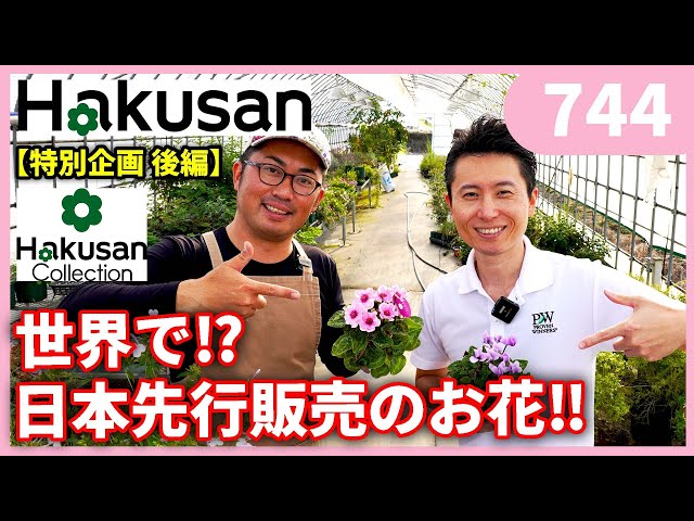 Special Feature Part 2] What is the Hakusan Collection, which is