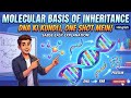 Molecular Basis of Inheritance one shot 12th biology | DNA ki Kundli |