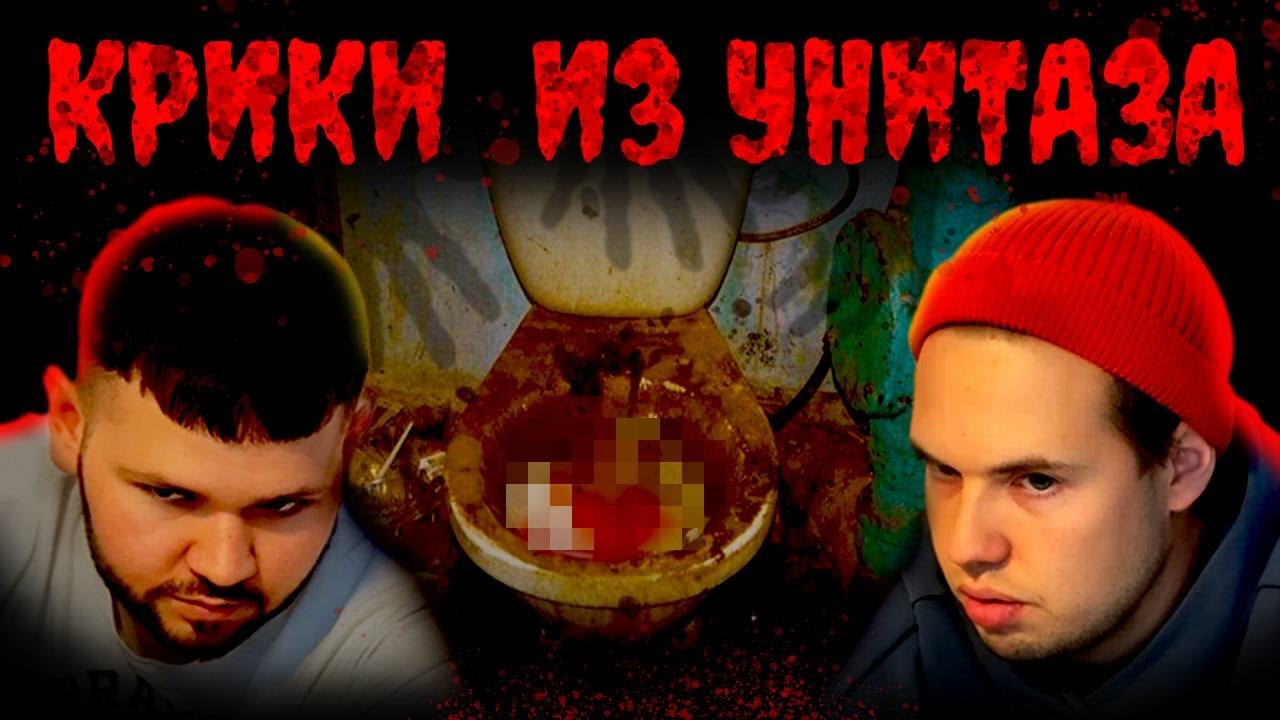 КРИКИ ИЗ УНИТАЗА