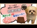 【犬の寒さ対策】湯たんぽVS電気ヒーター。クレート内に設置して、温かさと乾燥の程度を温度湿度計で計測しました。気になる子犬の防寒対策。湯たんぽはドギーマン、電気ヒーターはペティオ、クレートはリッチェル