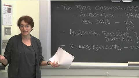 Lecture 4.4: Inheritance and Genetics  — Pedigrees