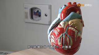 【杏林在線】鈣化的心臟血管