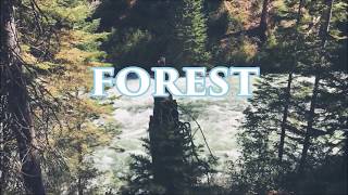 Psychonaut 4 - Personal Forest (Lyrics Video) Resimi