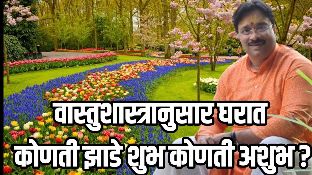 घरात लावायची झाडे शकुन-अपशकुन