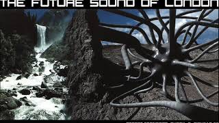 The Future Sound of London · Omnipresence