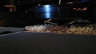 Nakamichi cd-4 Cd player sound of