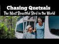VAN LIFE Journey [Can We Find The World's Most Beautiful Bird]