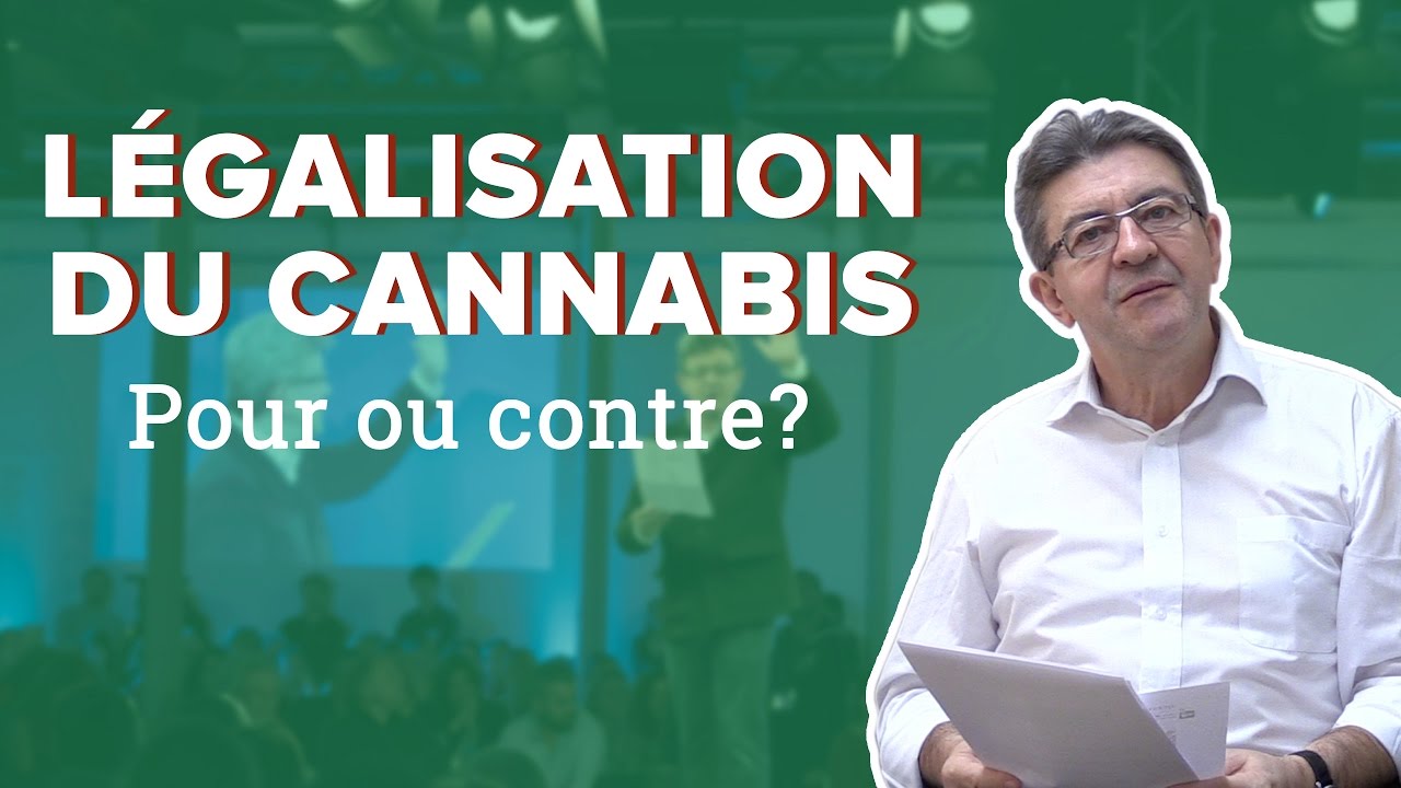 Legalisation Du Cannabi En France Pour Ou Contre
