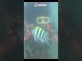🏖🏝KOKAN#ytshorts #kokan #malayalam#malvan#goa #becharibahu #bagabeach#ratnagiri #trevel#trvelblogger