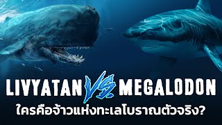 Megalodon VS Livyatan เมื่ออสุรกายแห่งท้องทะเลไม่ได้มีแค่ฉลามยักษ์