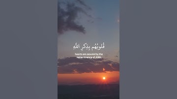 سورة الرعد الآية 28 #القرآن