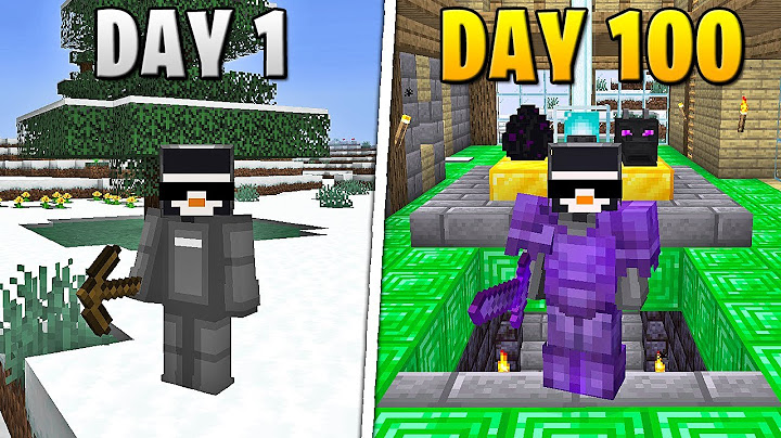 Saya Bertahan Hidup 100 Hari di Minecraft HARDCORE...