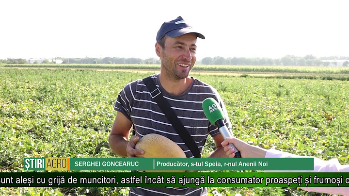 Pepenele galben – medicamentul cu gust suculent – AGRO TV News