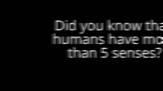 Intro to donny ferns