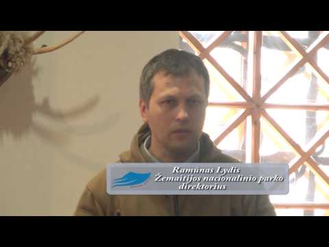 Video: Stovyklavietė už Josemito nacionalinio parko
