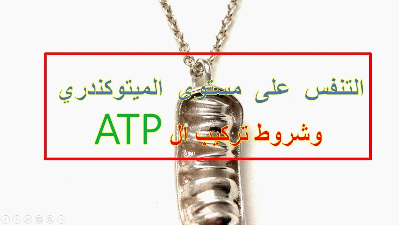 5 التنفس على مستوى الميتوكندري وشروط تركيب ال Atp Youtube