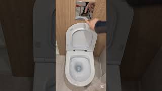 Simpsonai Kokia Kryptimi Sukasi Vanduo Jūsų Tualete? Sužinokite Dabar