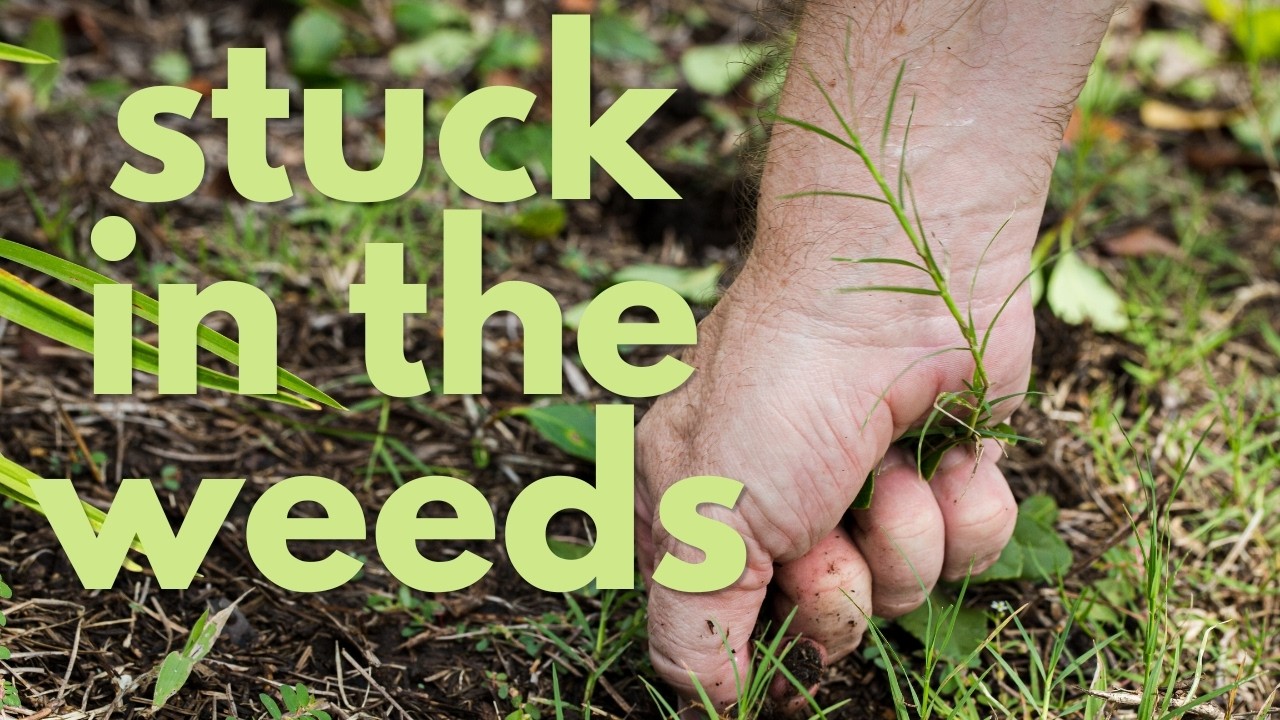 Stuck in the weeds?