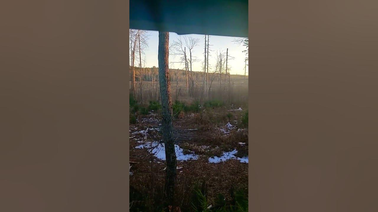 Sunset On The Last Day Deer Season 2022 YouTube