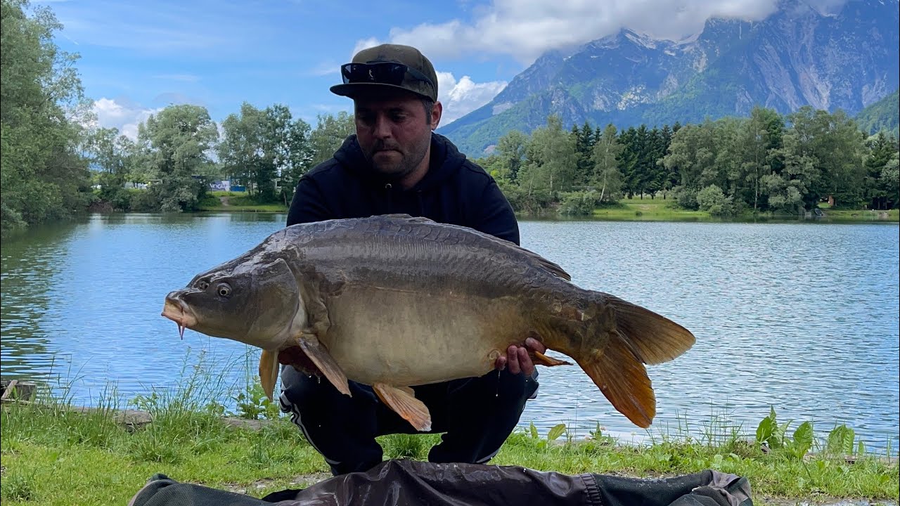Nagy Ponty ..Fox Expoler . CarpRoyal Baron #hungary #austria #carp # ...