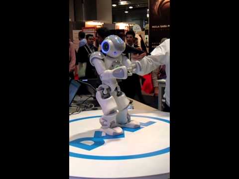 Nao Robot