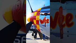 Soaring Through History: The Legend of Wee Willy II 🦅✈️Subscribe for more! #p51