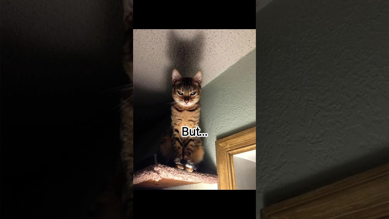 Отправьте это 😈 