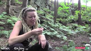 ROADKILL - Is eating accidental meat the future